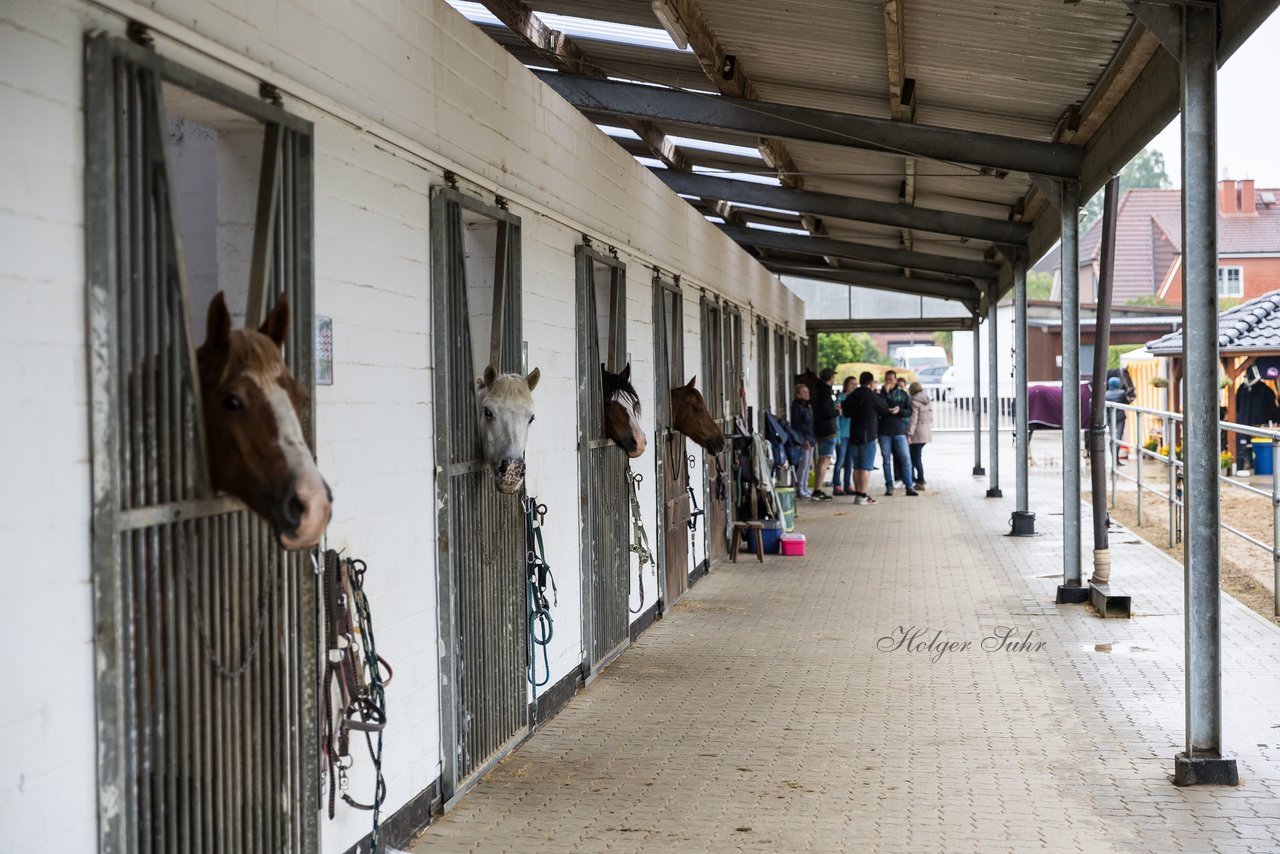 Bild 2 - Pony Akademie Turnier